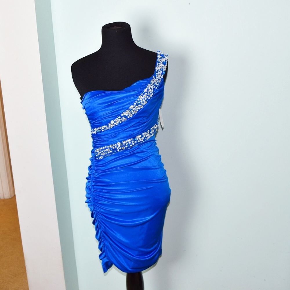 NWT Blue Stone Embellished Bodie Dress